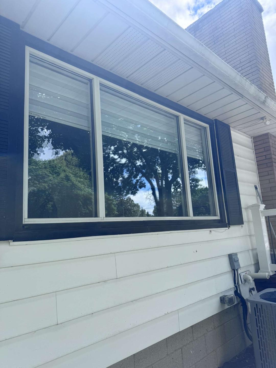 Splash & Dash detailing image 9