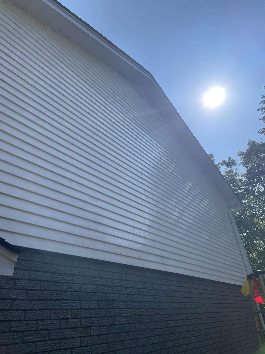 Splash & Dash detailing image 10