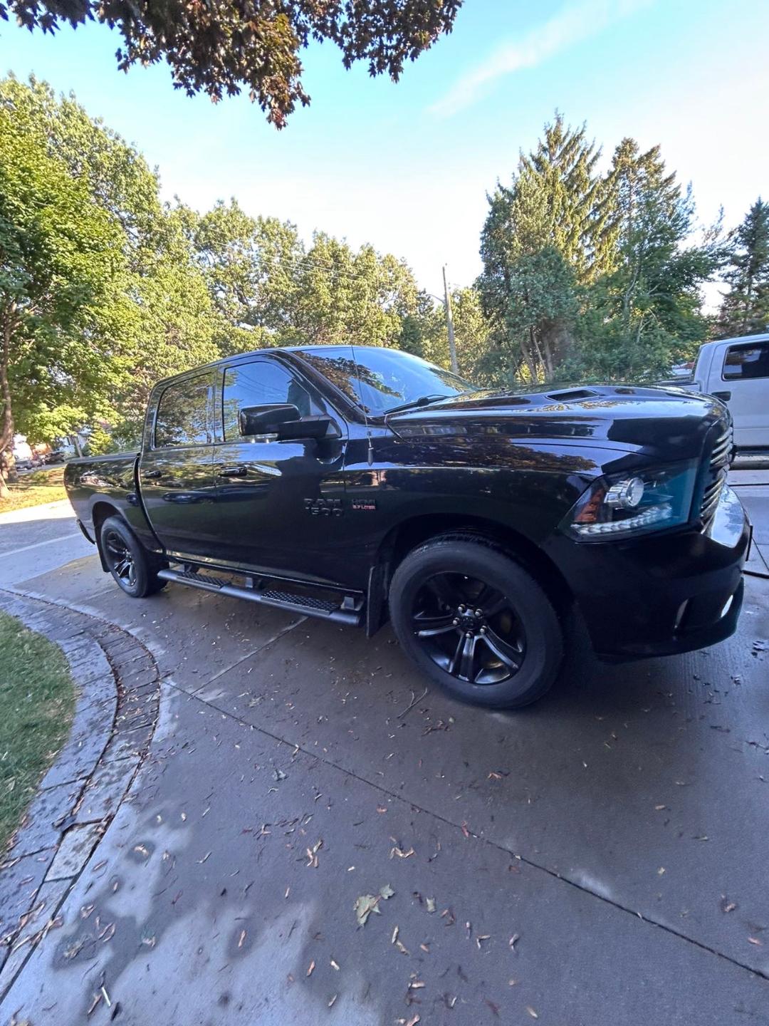 Splash & Dash detailing image 2