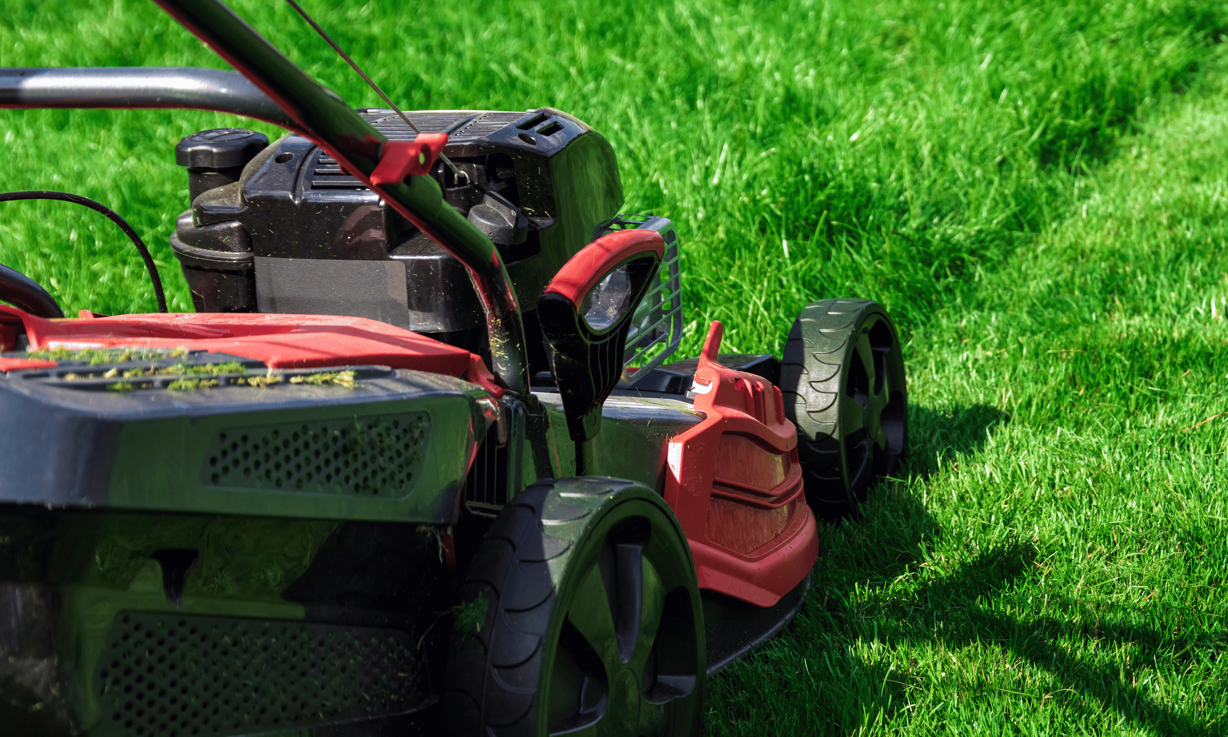 Local South End of Sudbury Experts