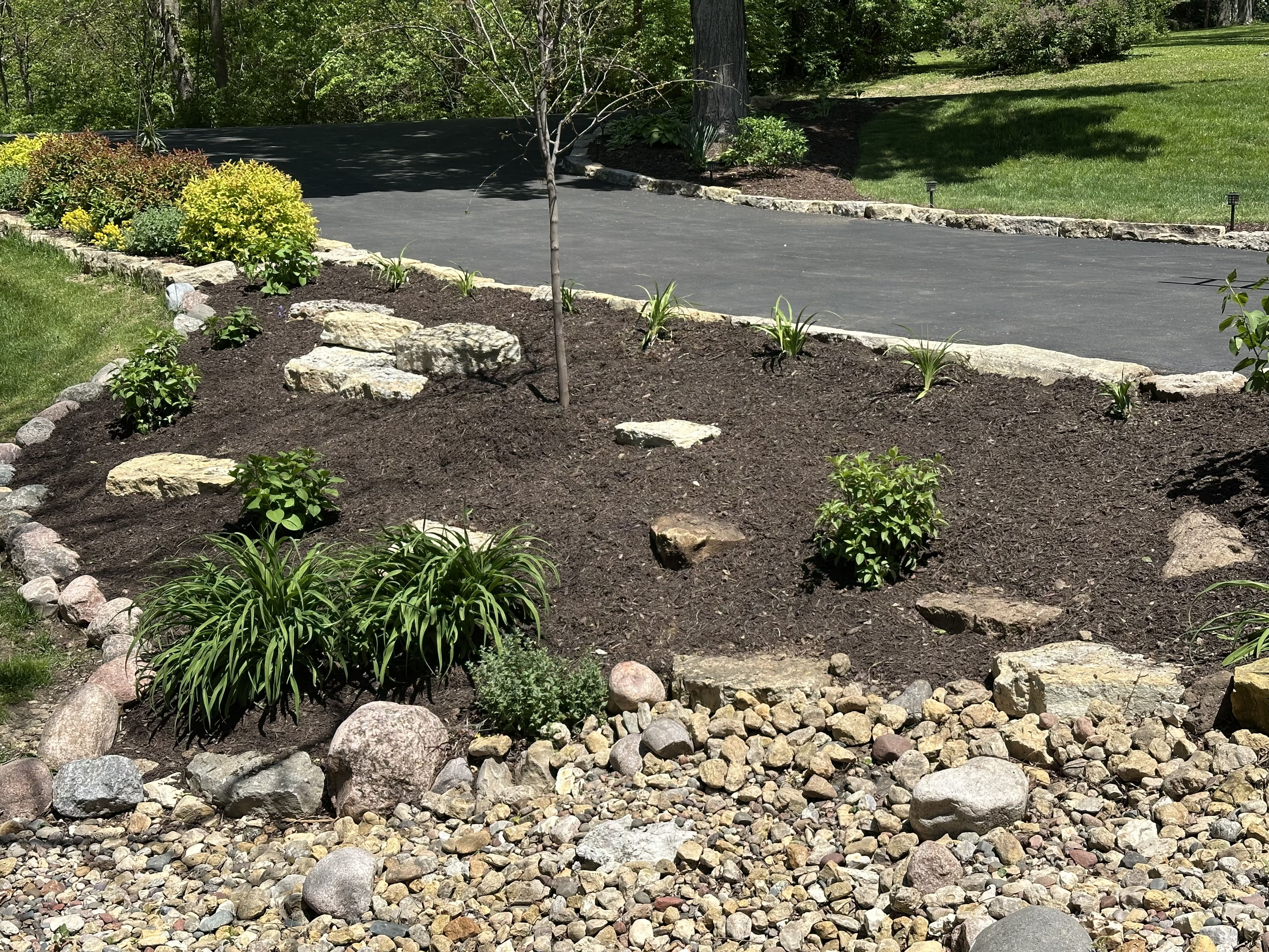 Seasonal Cleanup & Maintenance