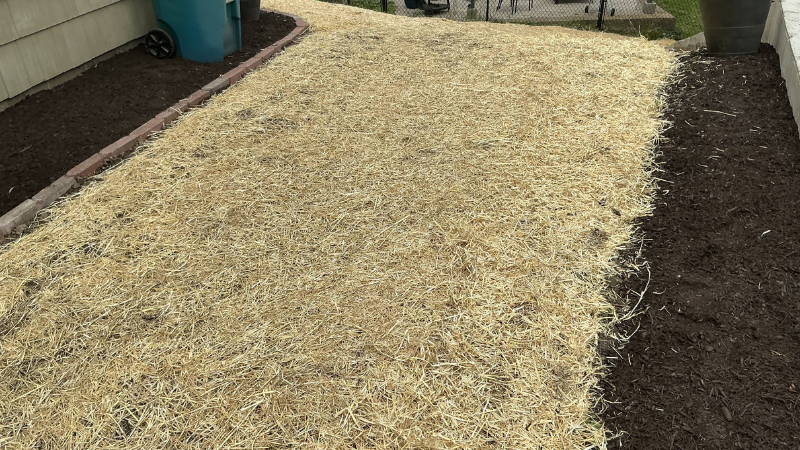Mulching & Ground Cover