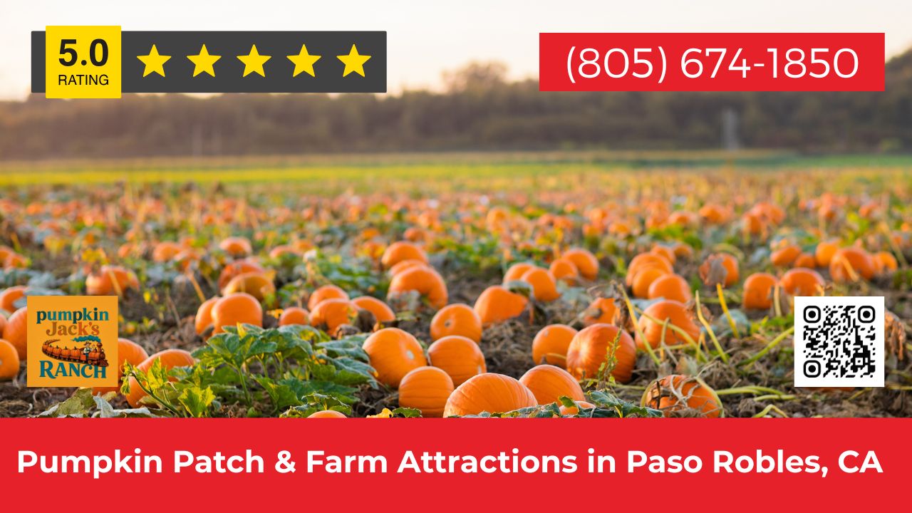 Pumpkin Jack’s Ranch: Launches New Pumpkin Patch and Farm Attractions in Paso Robles
