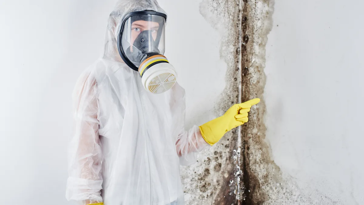 Mold remediation professional pointing to visible mold on an interior wall.