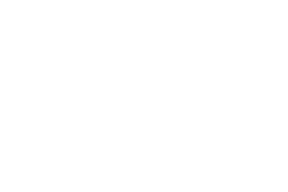 Wesley Chapel  Junk Removal Logo