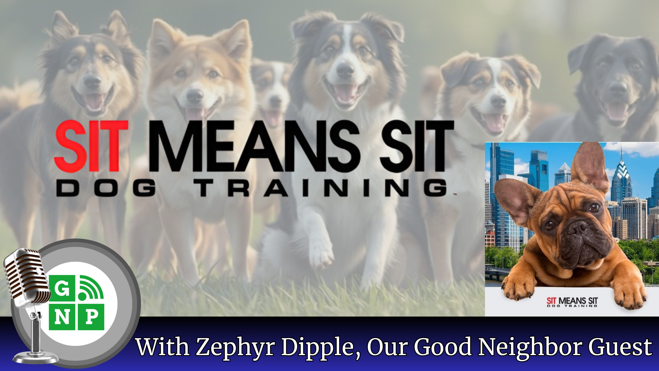 When Your Dog Thinks It Runs Delco: Sit Means Sit