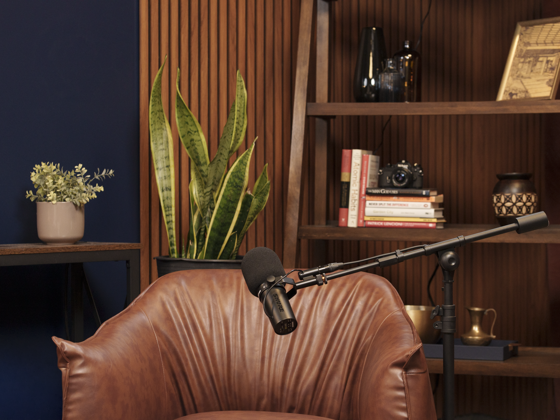 Podcast image 8