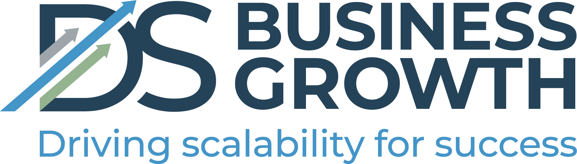 DS Business Growth Logo
