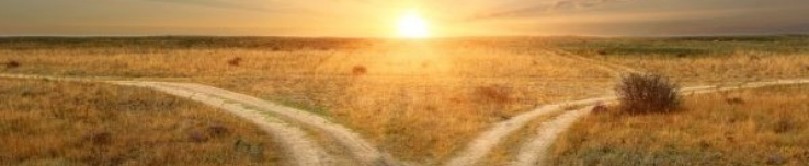 A sunlit path at a crossroads, representing choice and direction