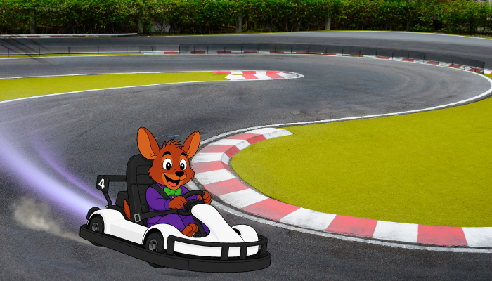 Splasharoo Riding Outdoor Go Karts at Action City