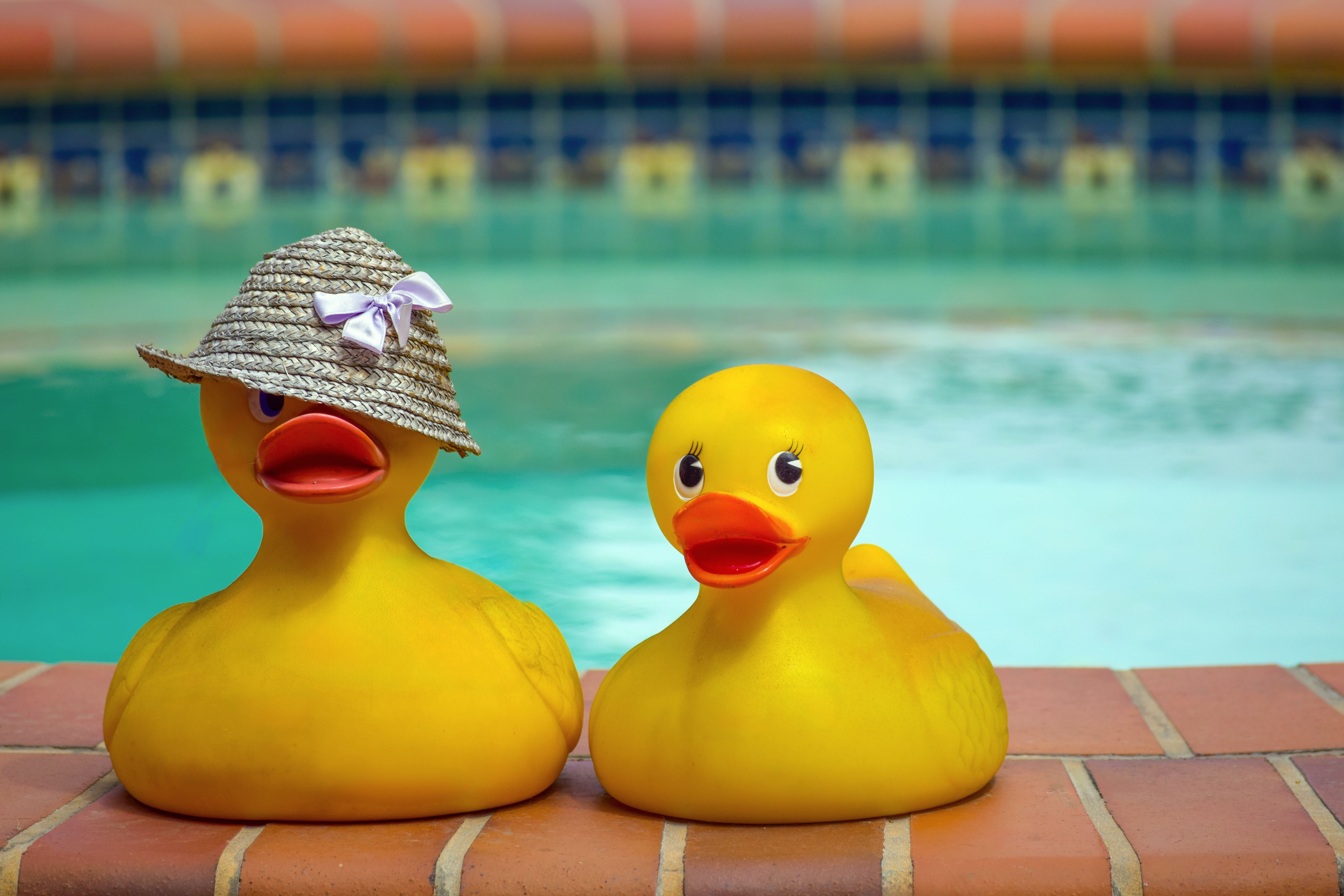 Rubber Duckies Rubber Duckies