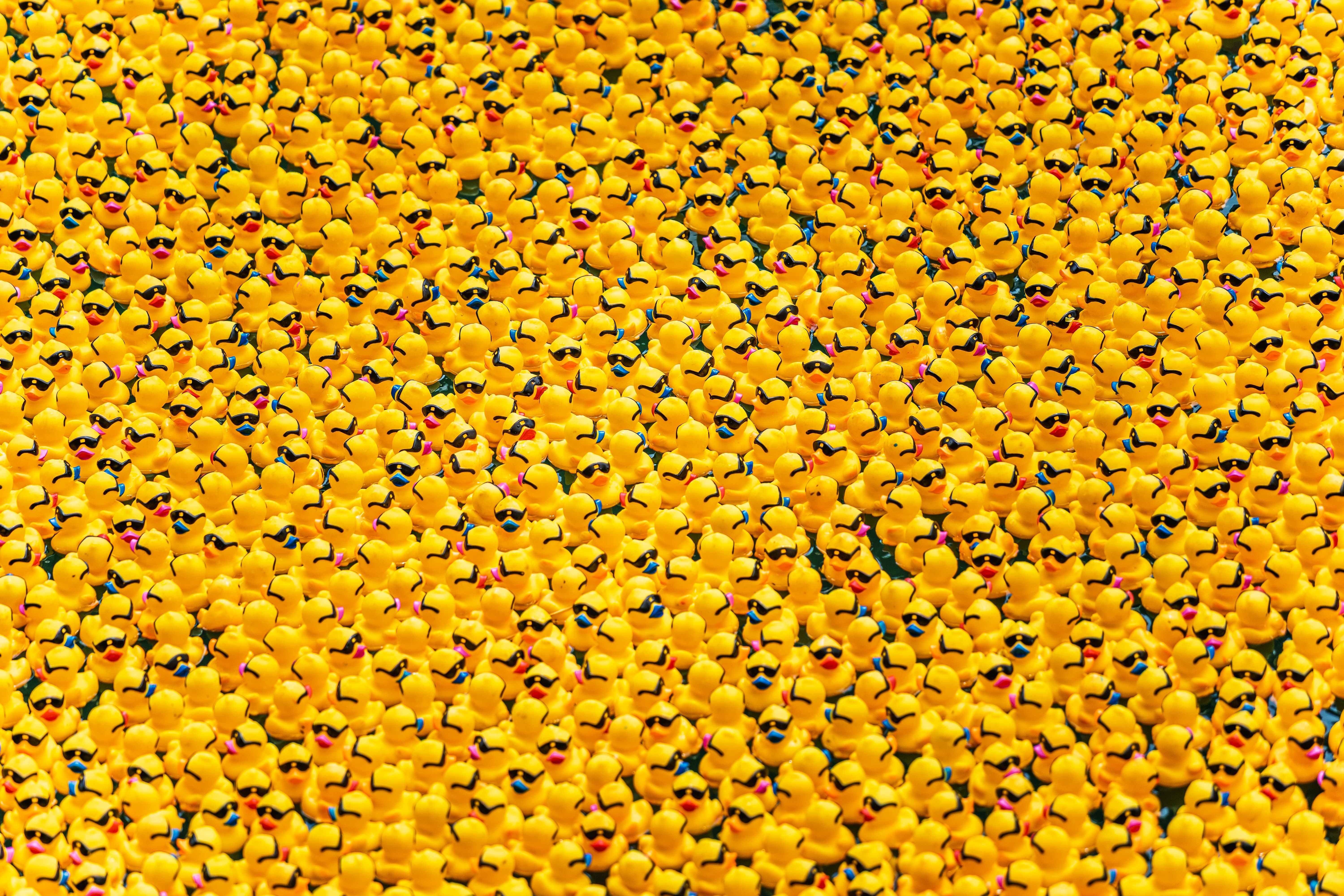 Rubber Ducks Rubber Ducks