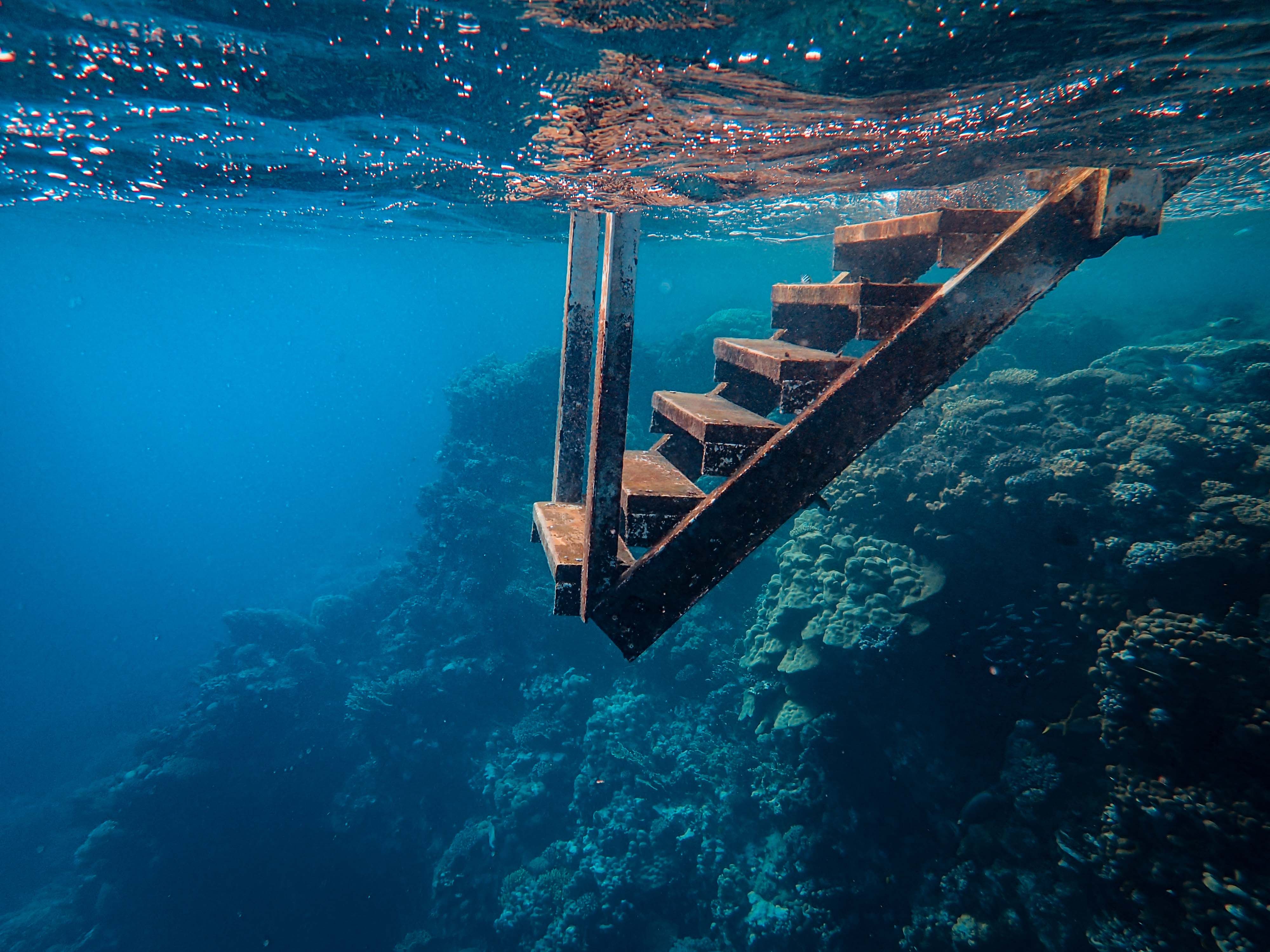 underwater underwater
