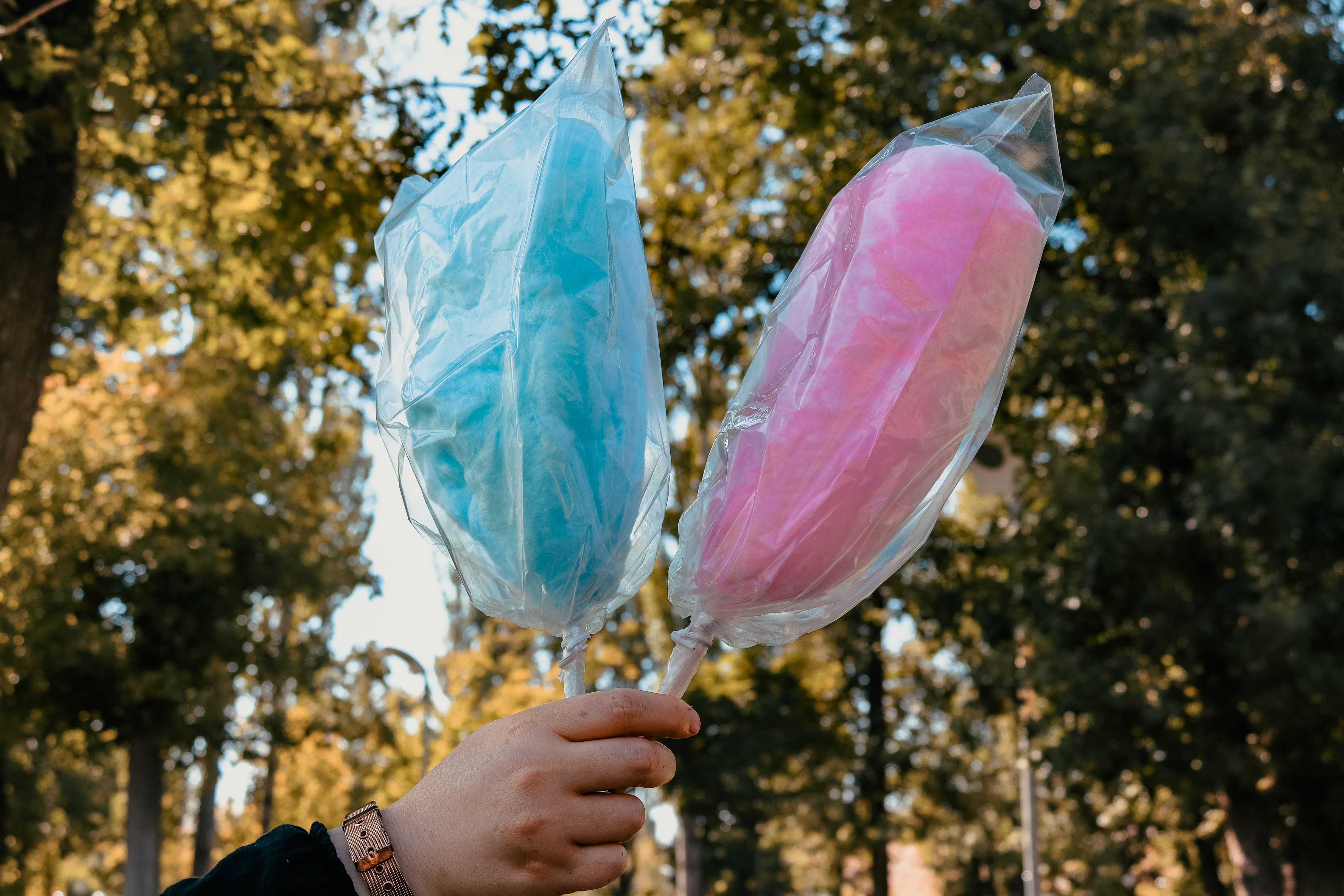 cotton candy