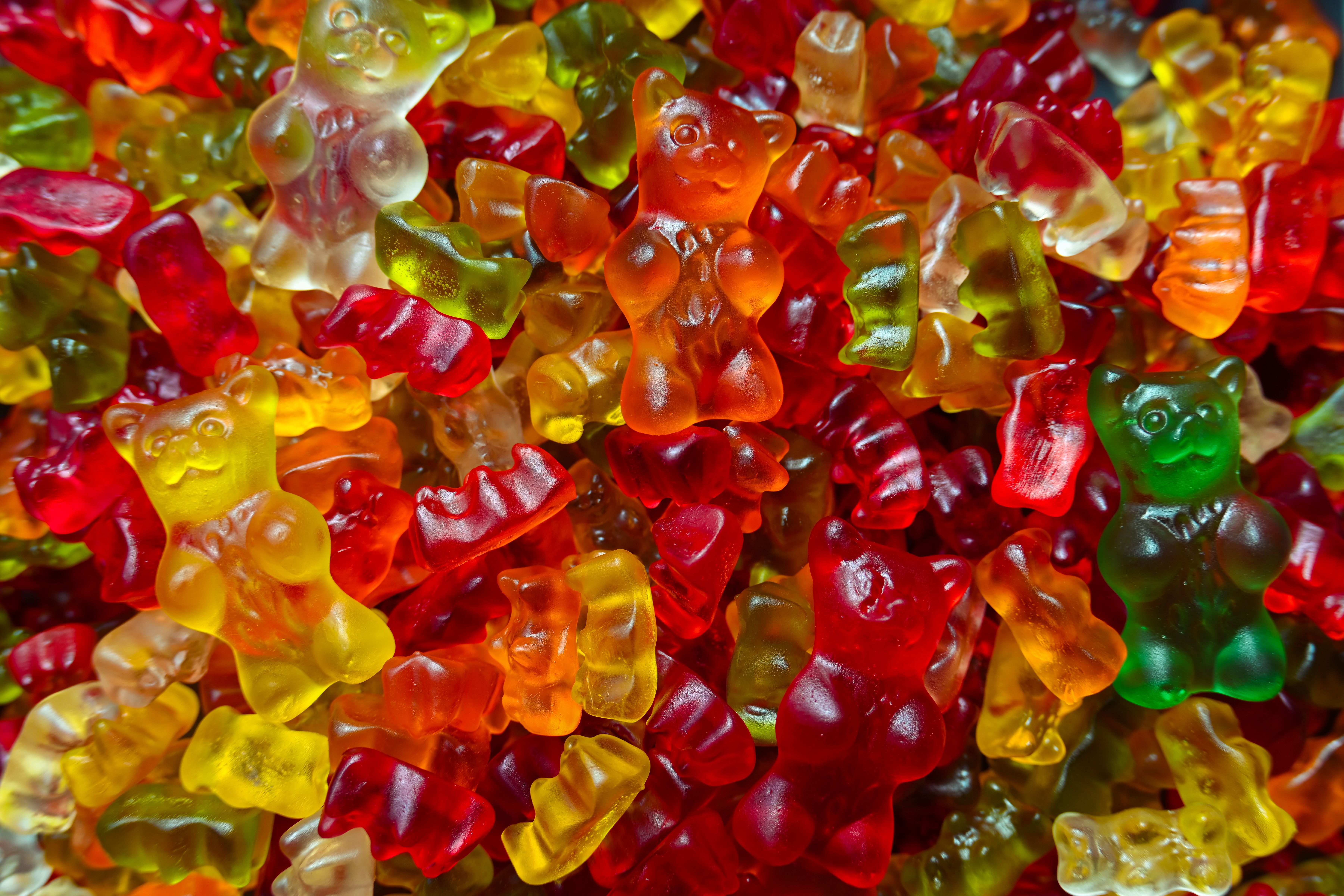 gummy bears gummy bears