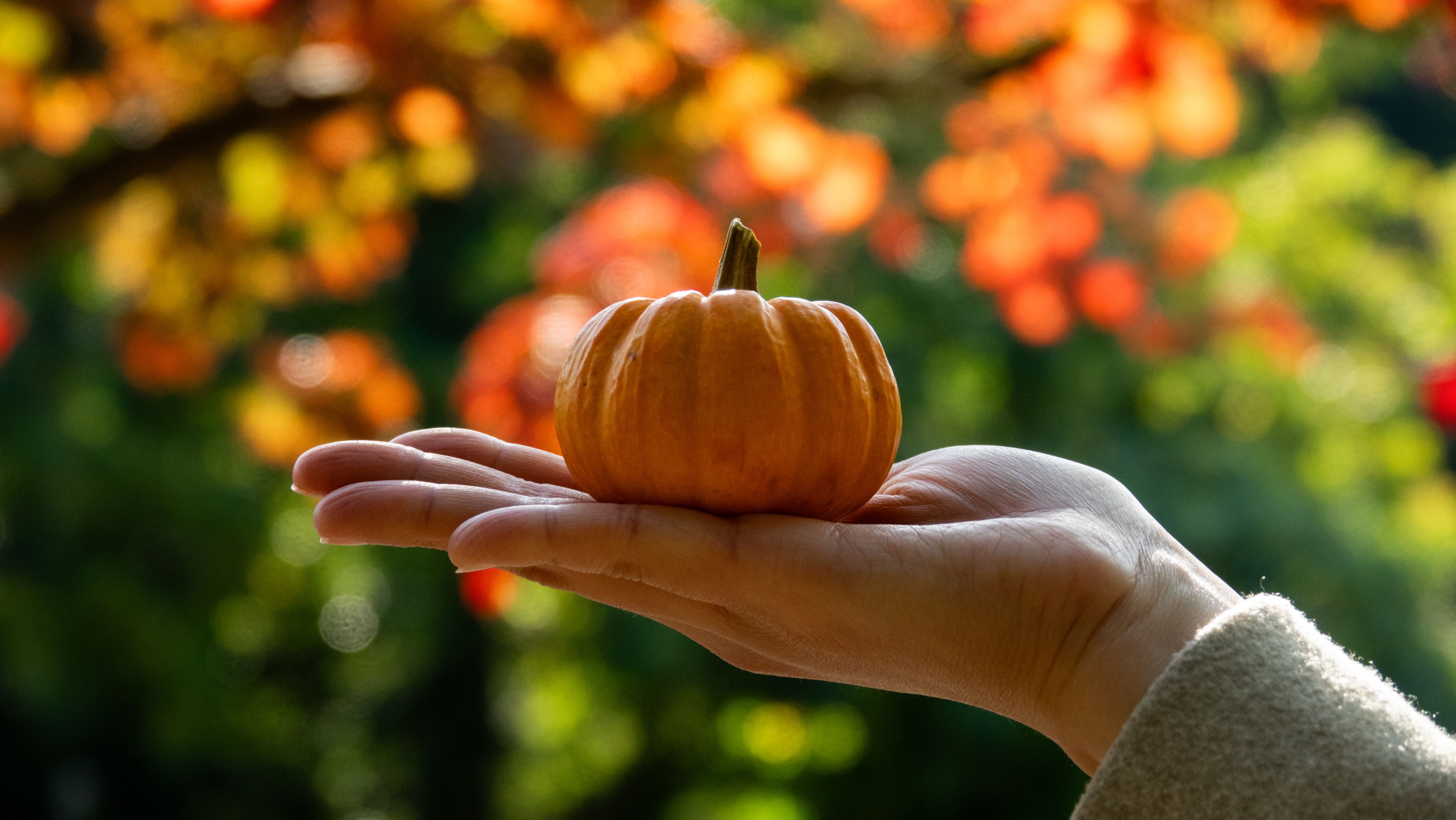 Mini pumpkin