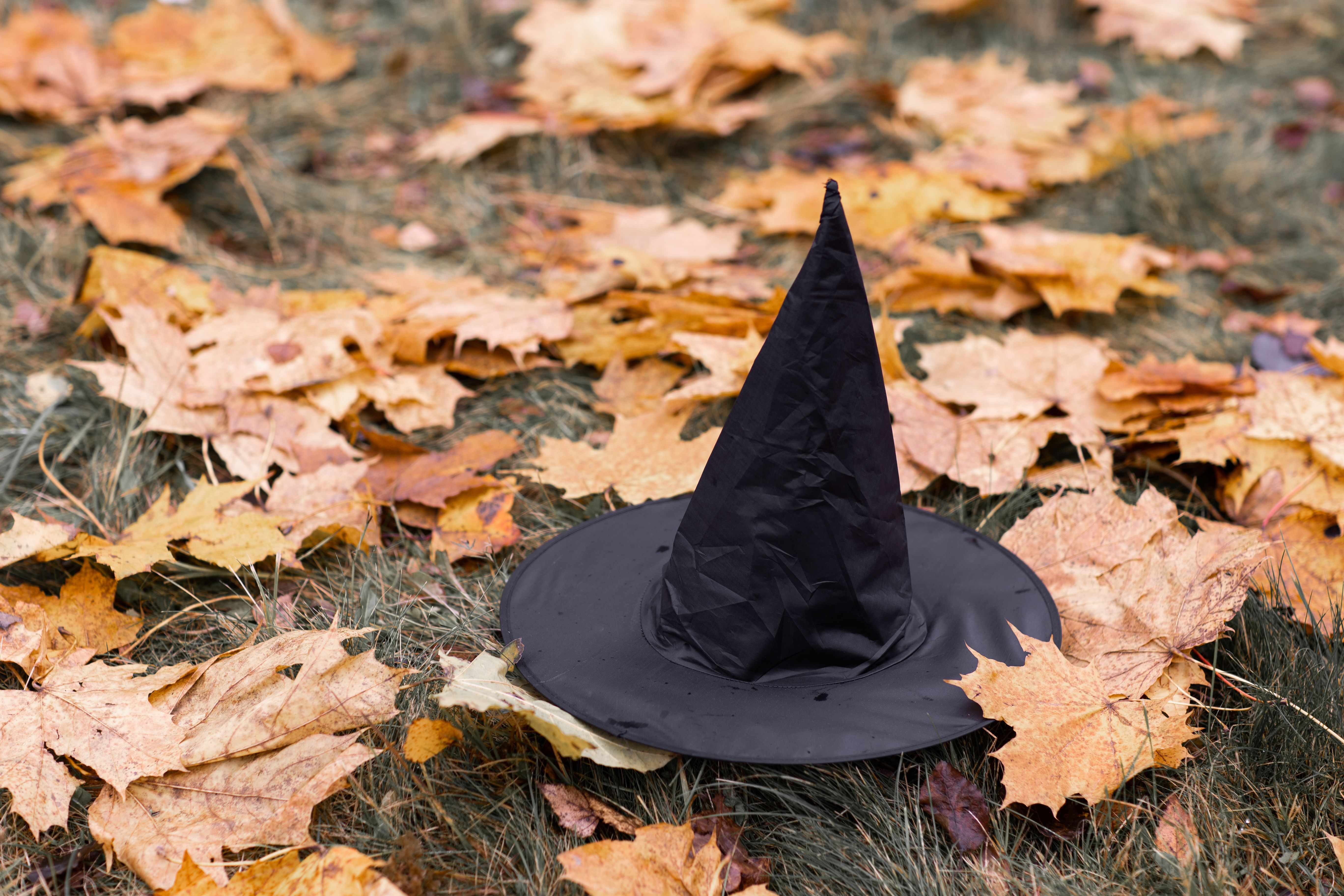 Witches hat