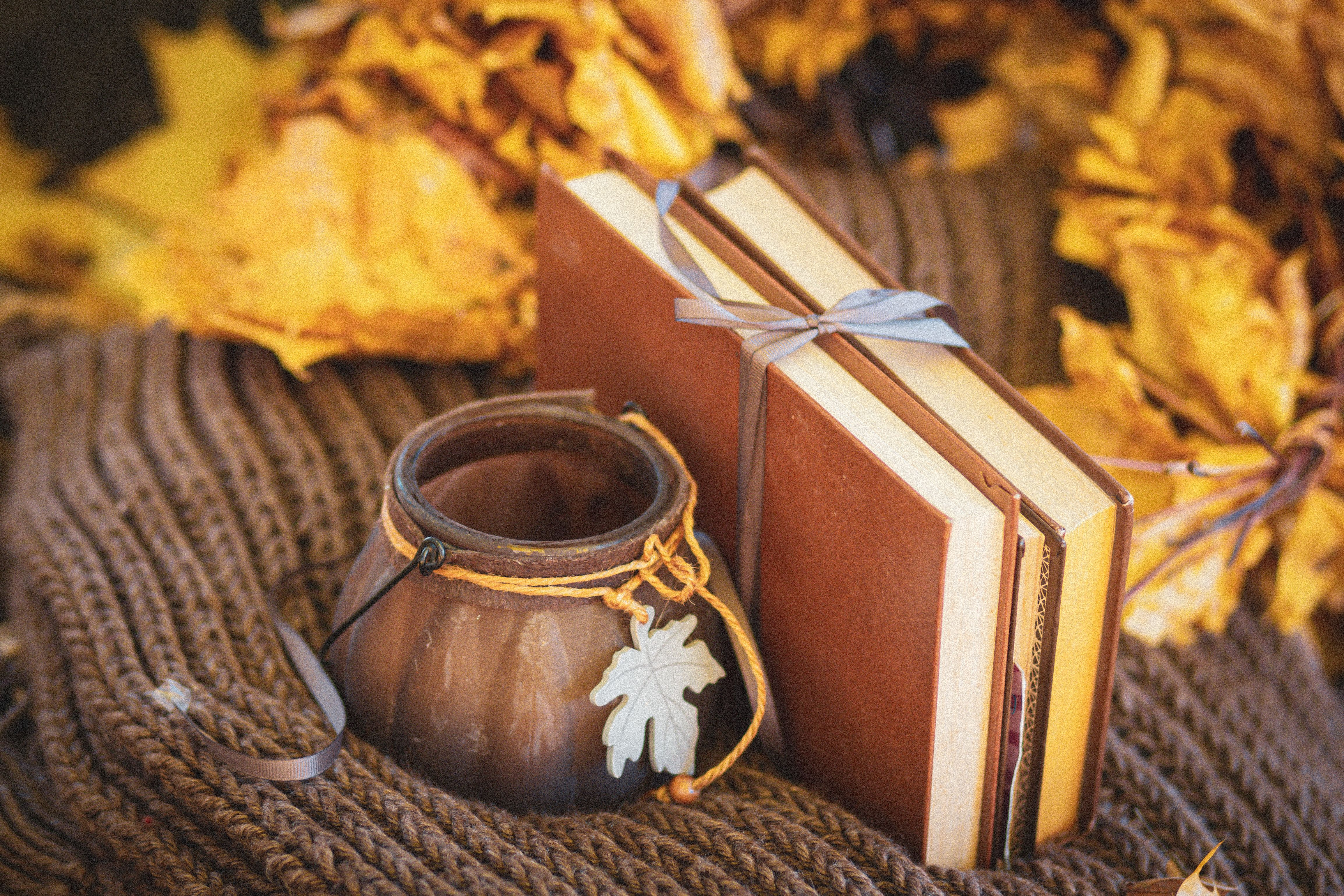 Fall reading, cozy sweater weather