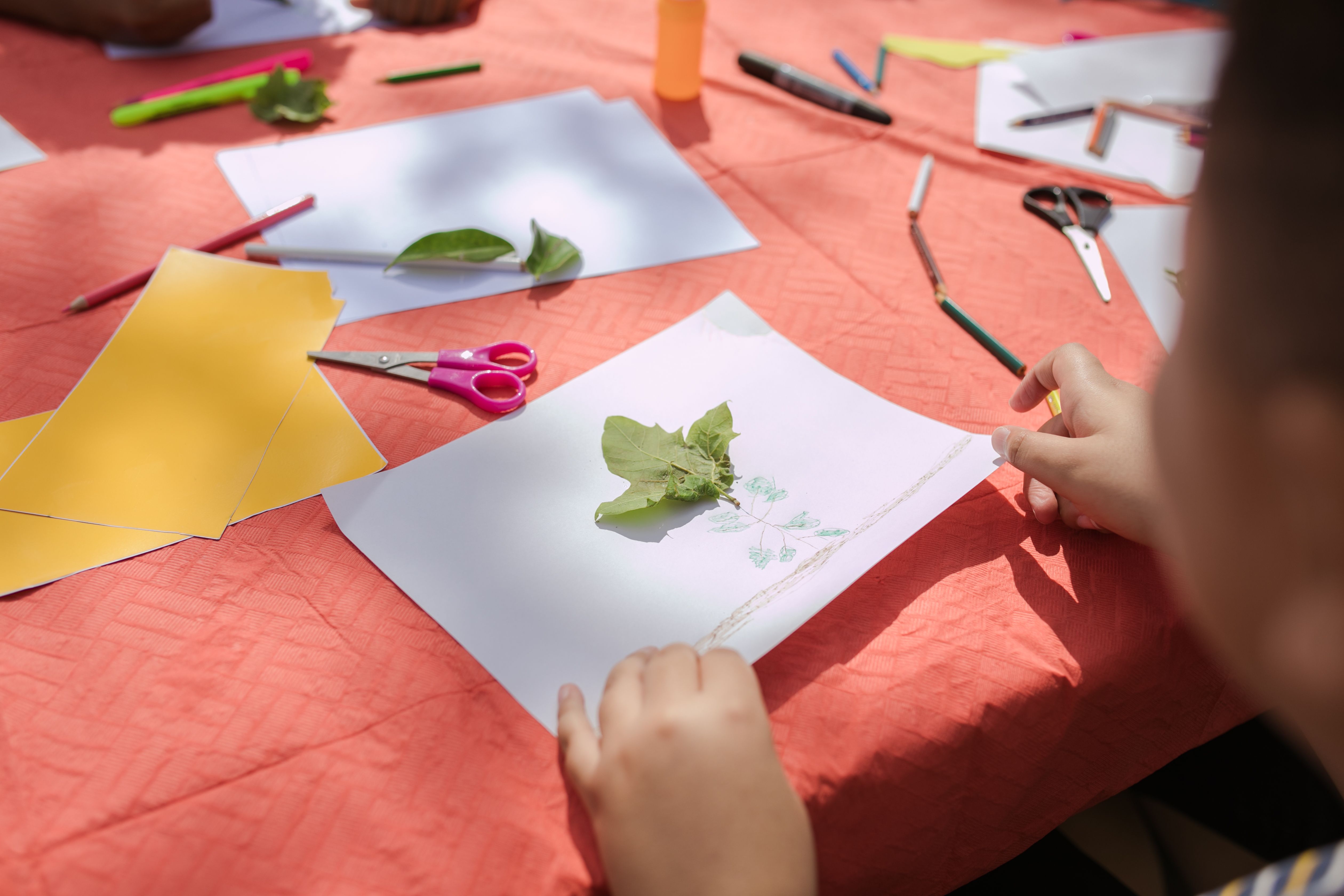 Thanksgiving crafts Thanksgiving crafts