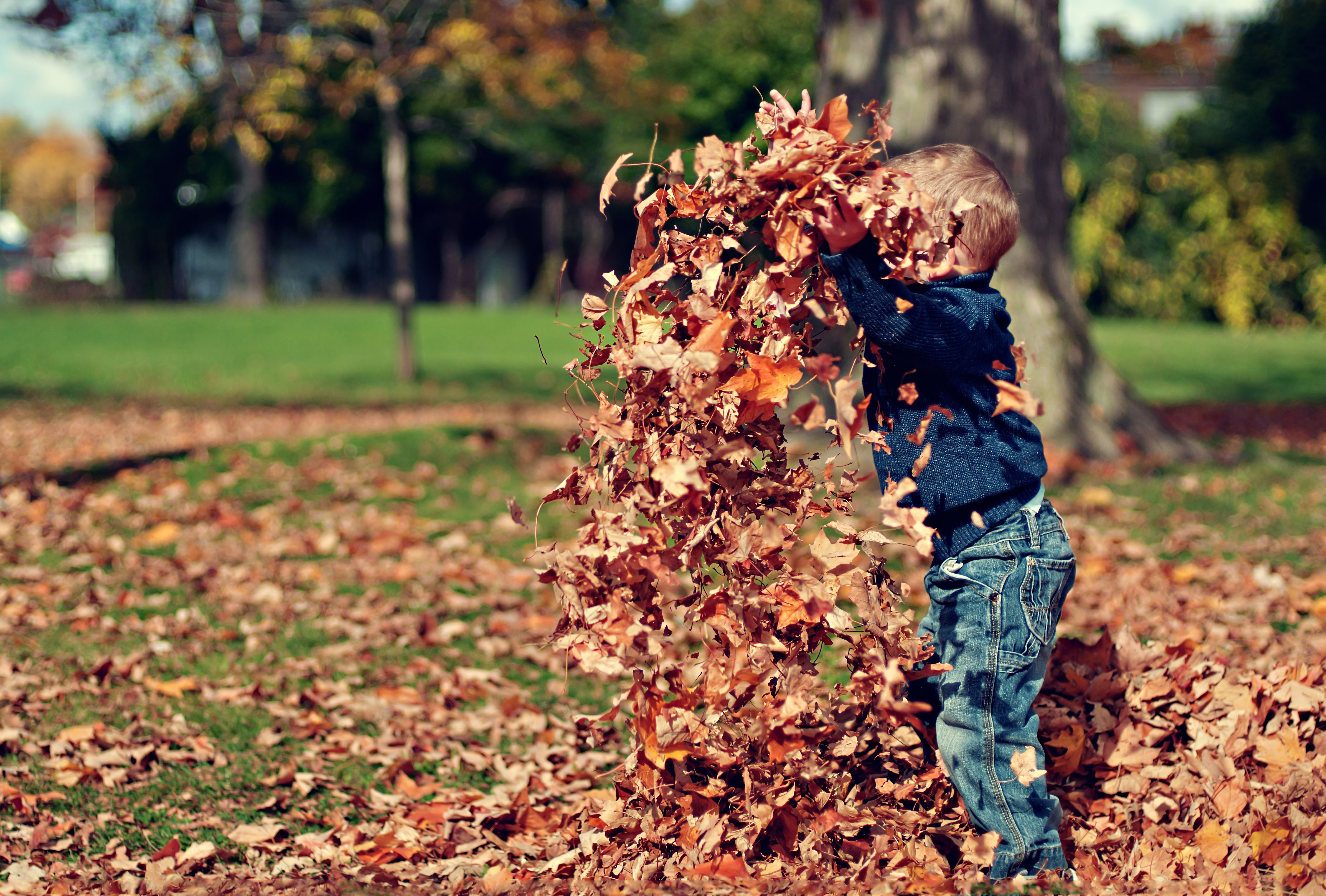 Playing in leaf piles Playing in leaf piles