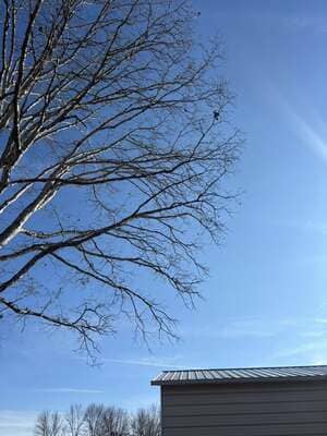 {{ custom_values.service_3 }} in {{custom_values.area_4})