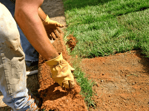 Sod Installation in Port Orange