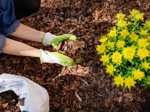 Mulch & Rock Installation in Port Orange