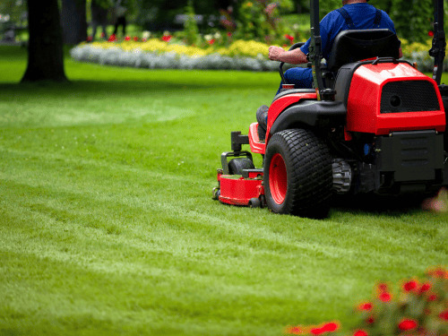 Commercial Lawn Care in Port Orange