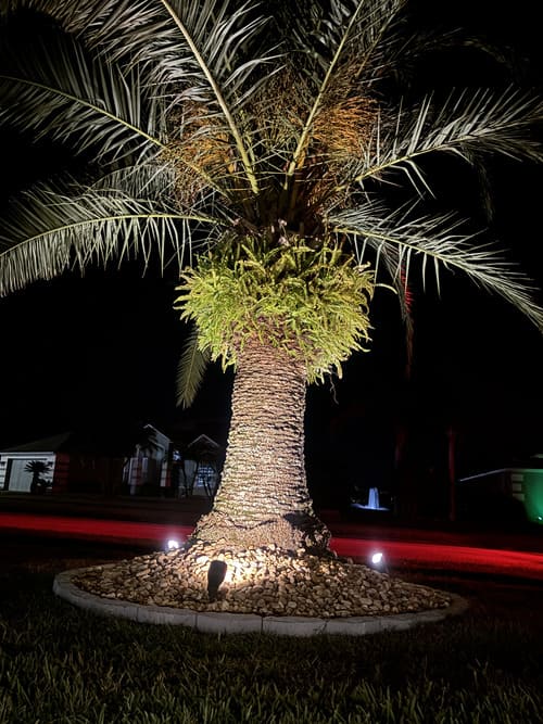 Commercial Landscaping Port Orange