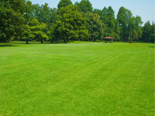  Residential Lawn Care