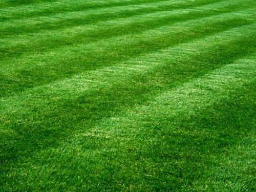 Daytona Beach Commercial Lawn Care