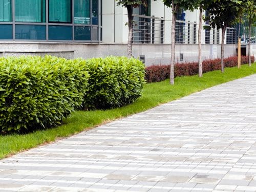 Daytona Beach Commercial Landscaping