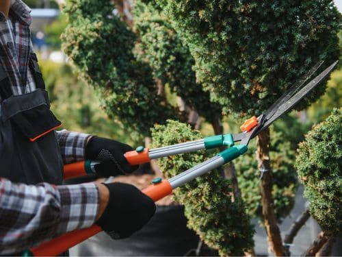 Residential Lawn Care