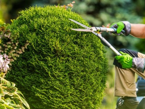 Residential Lawn Care