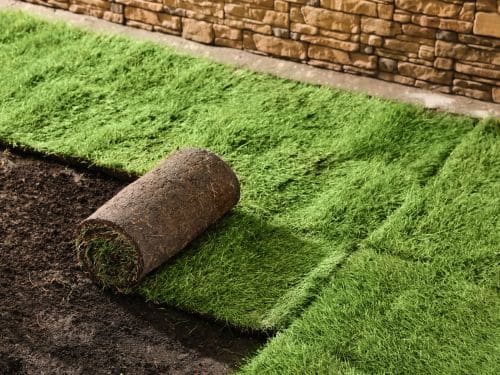 Daytona Beach Sod Installation