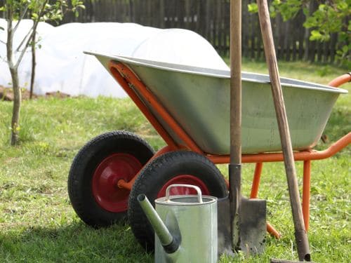Daytona Beach Yard Cleanups