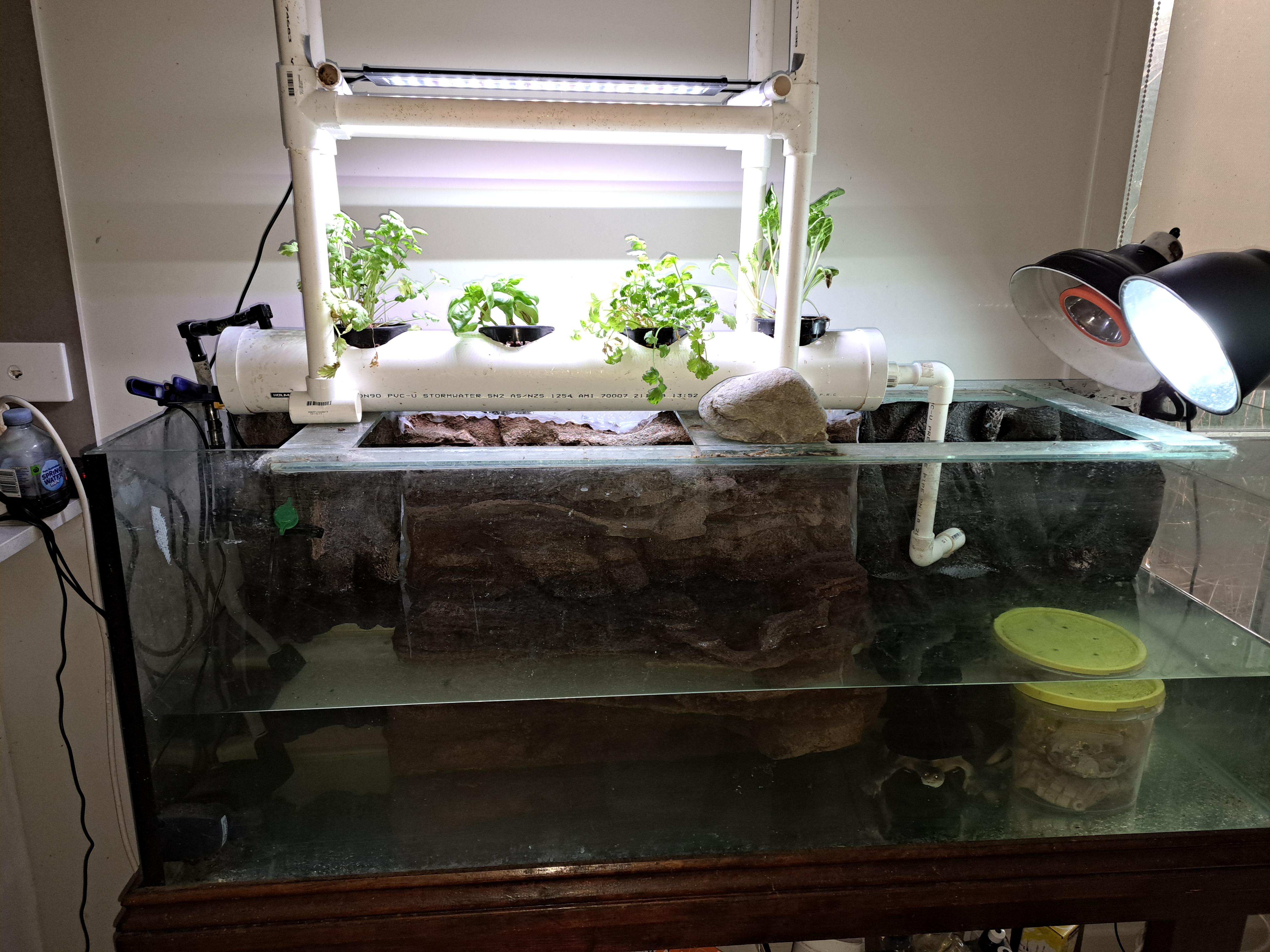Aquaponics system