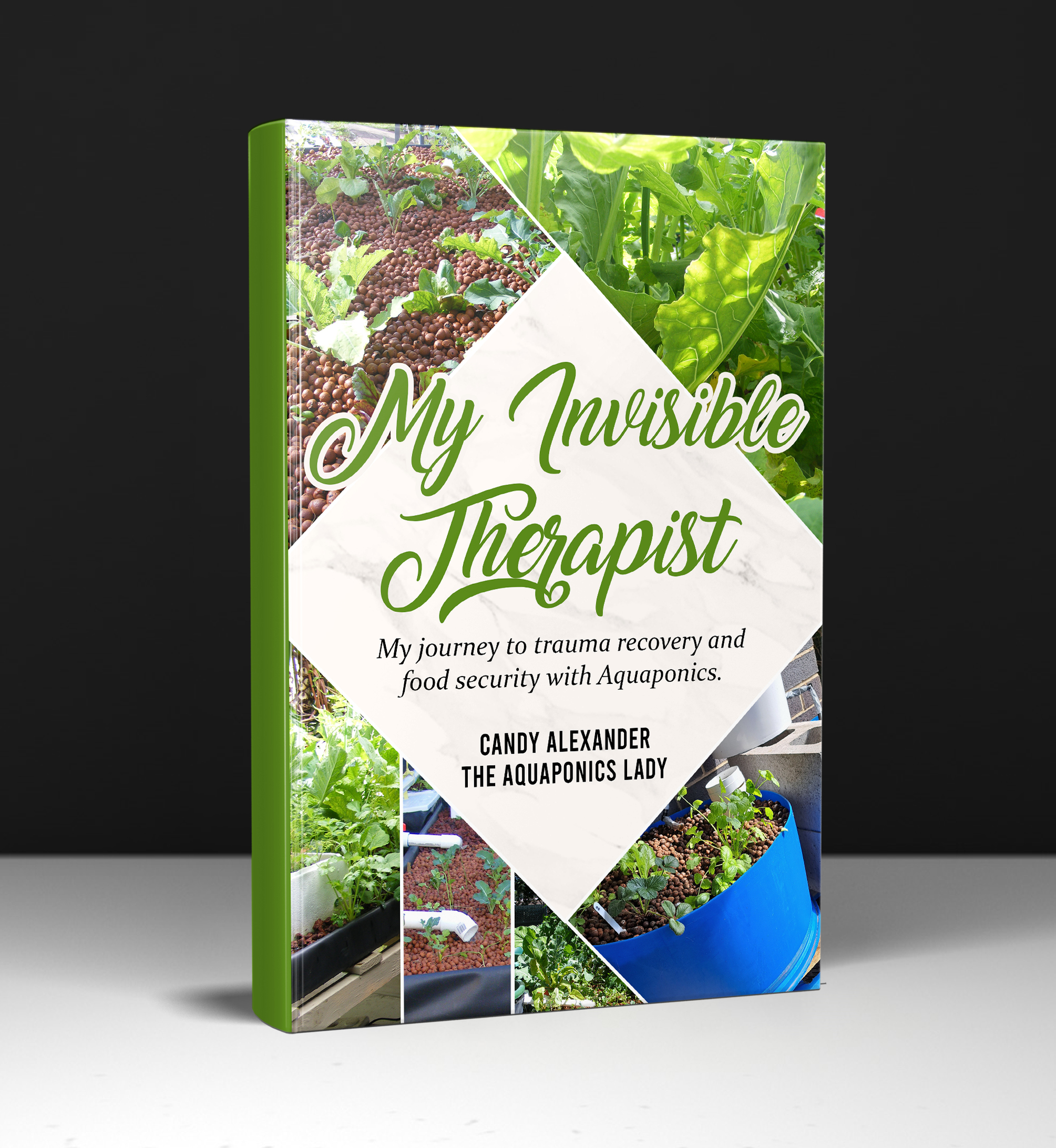 Invisible Therapist Invisible Therapist