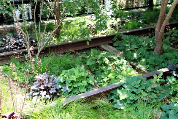 Image of a foodscaping garden in a backyard