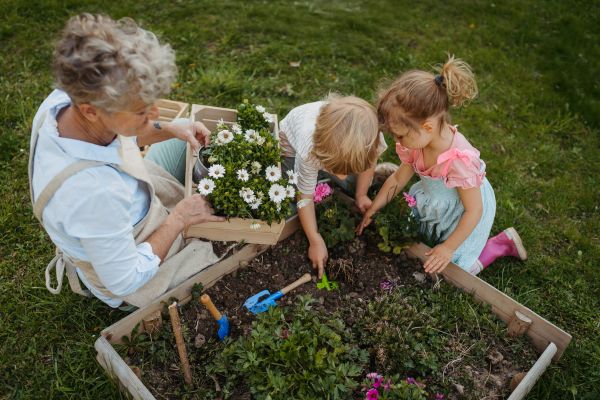 Kids learning how to garden with grandma Kids learning how to garden with grandma