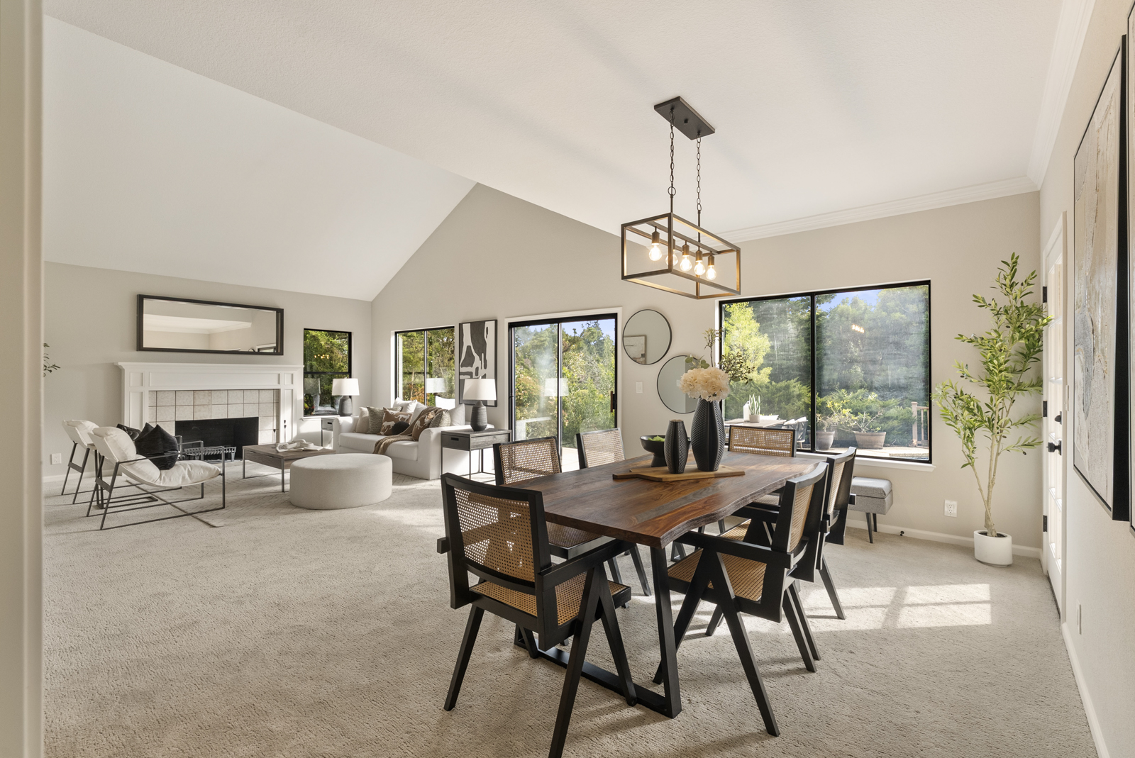 6 Woodridge Ct living room