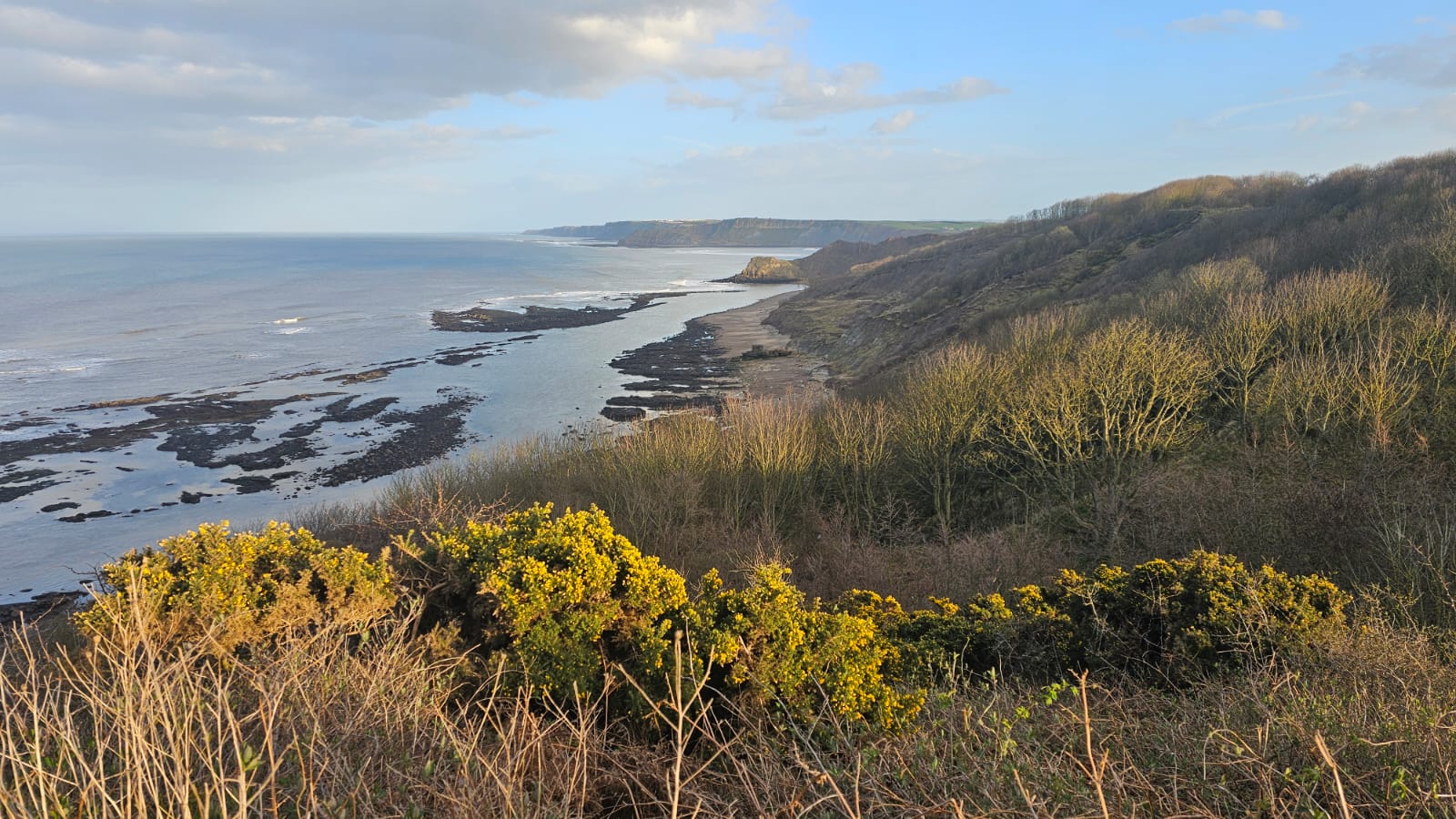 Cornelian Bay, Scarborough. March 2026. Barbara Payman