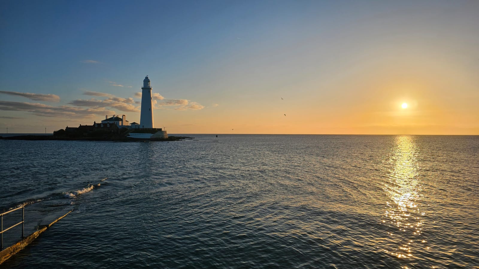 Northumbrian coast. April 2026. Barbara Payman