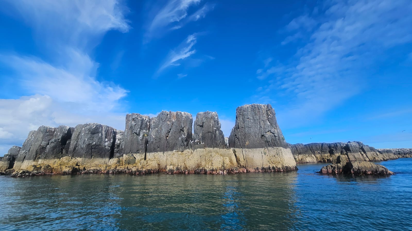 Farne islands. April 2026. Barbara Payman