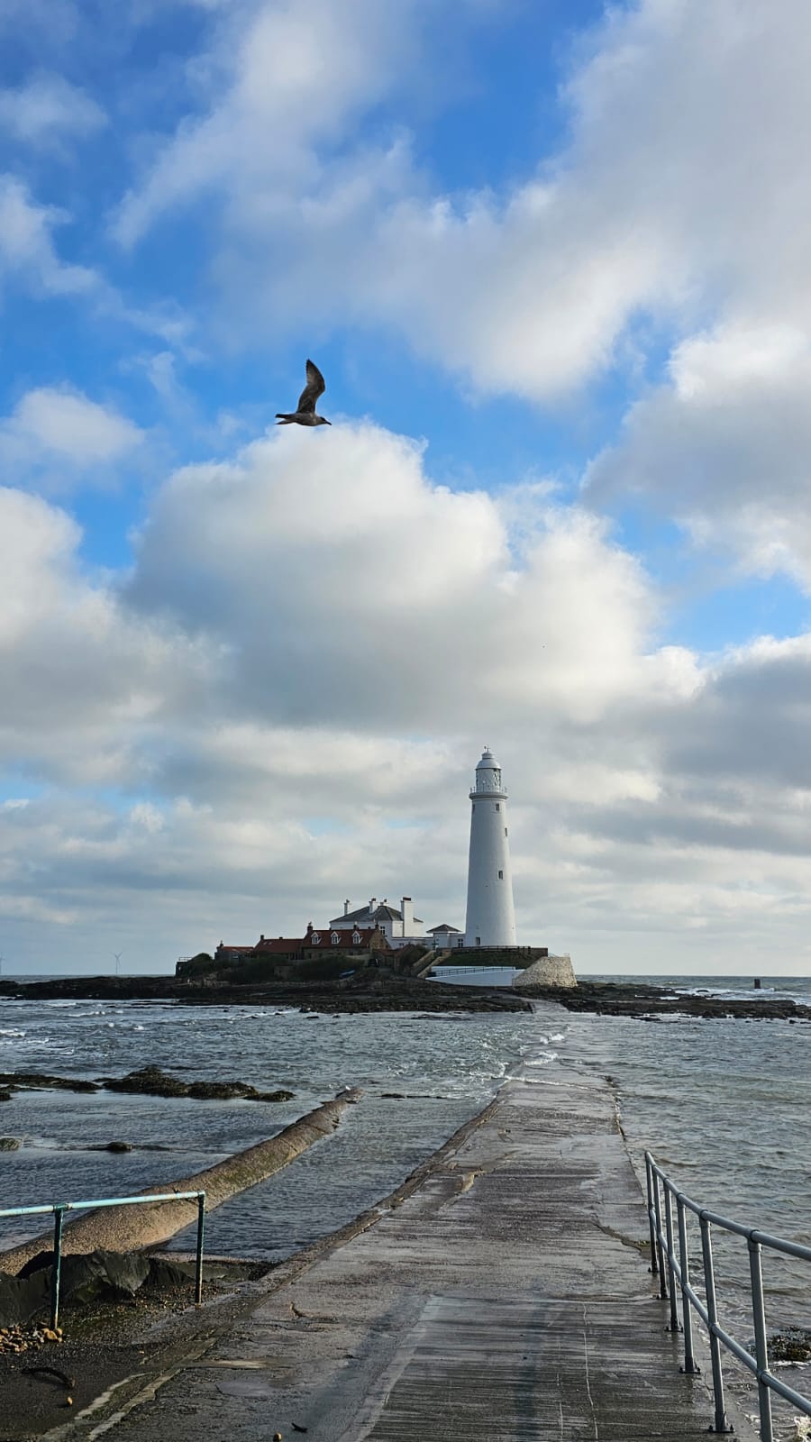 St. Mary's Lighthouse, Whitley Bay,  causeway partially covered. April 2026. Barbara Payman.