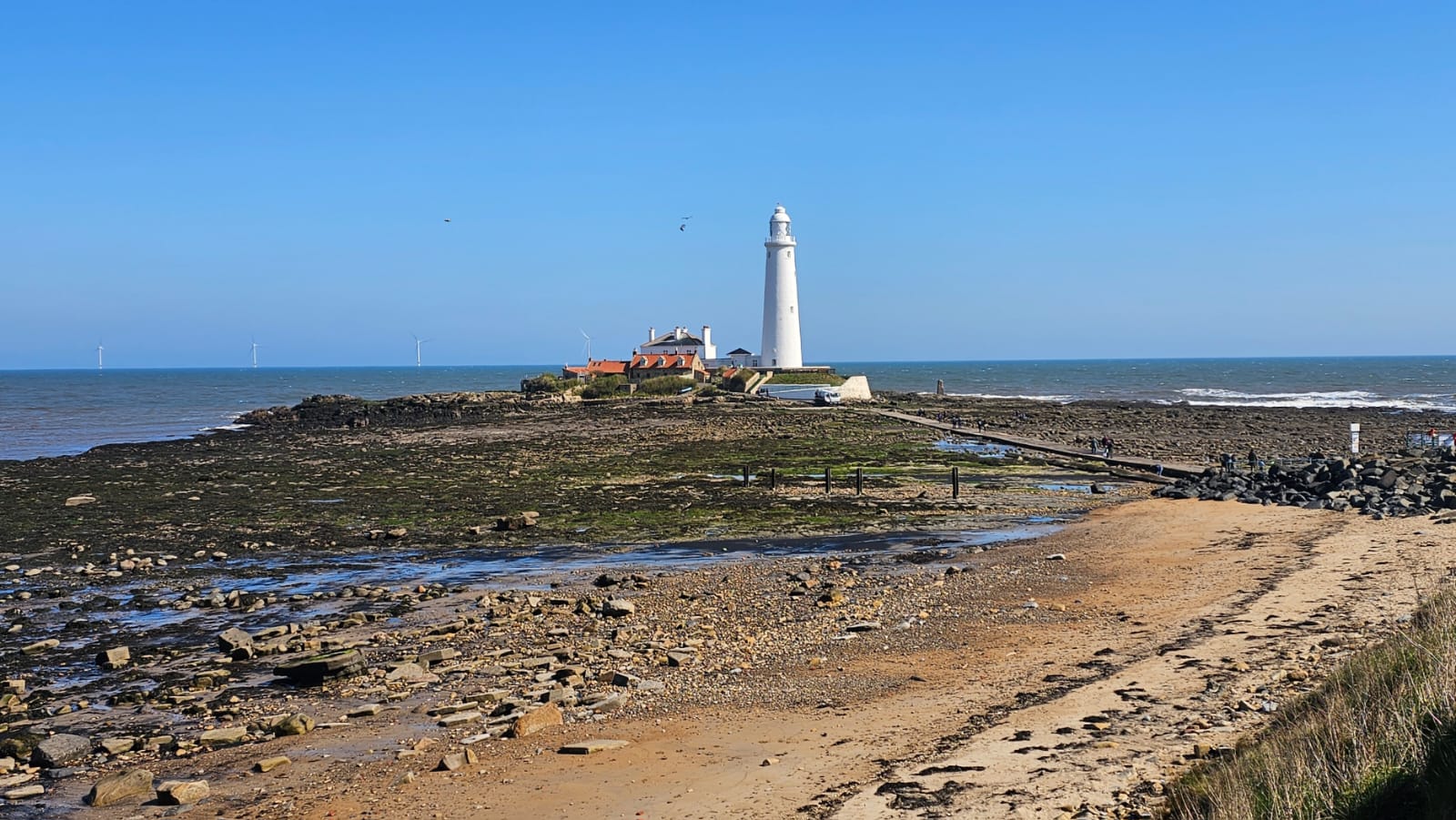 St. Mary's island. Low tide. April 2026. Barbara Payman.