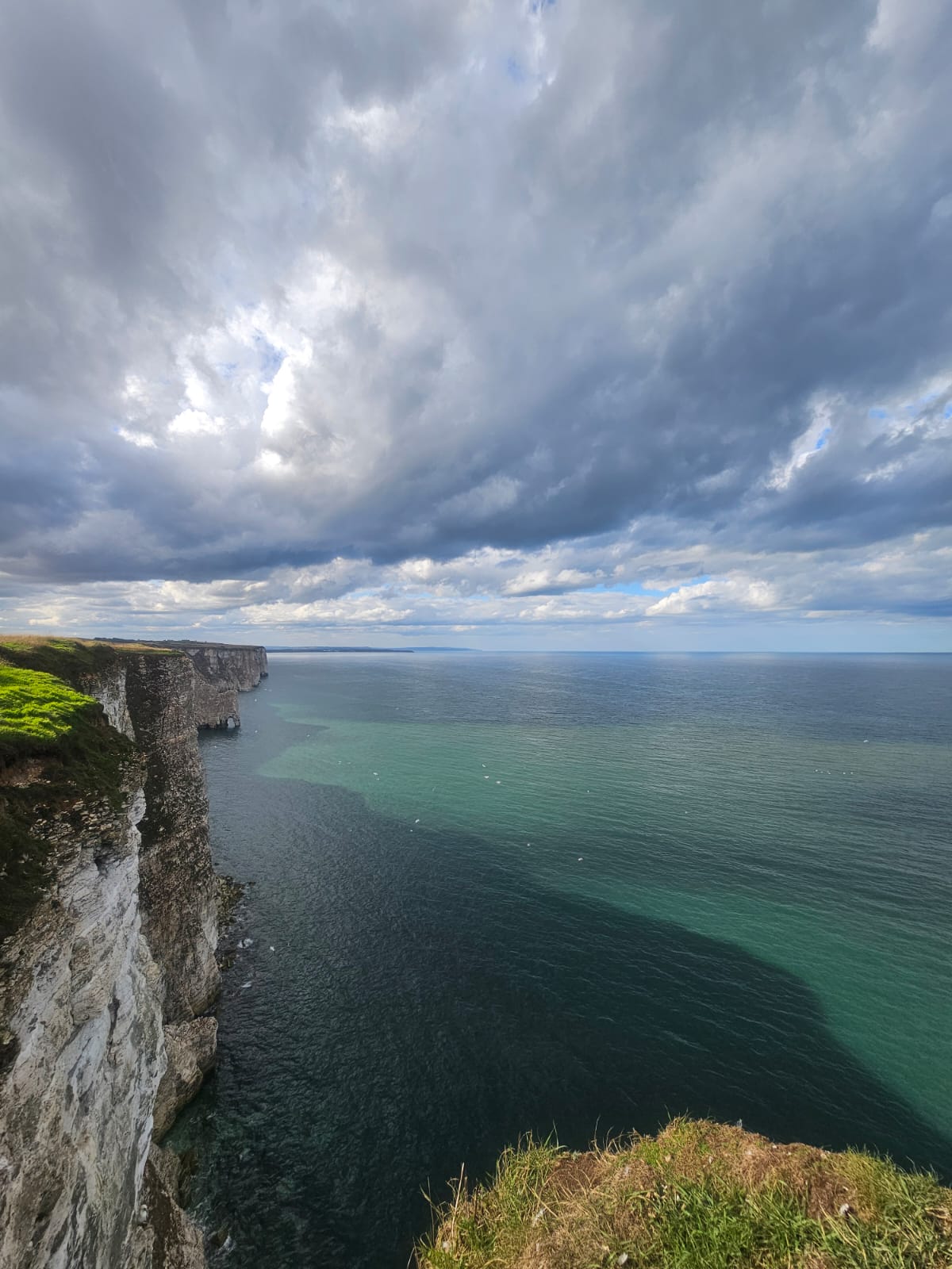 Stillness after the dolphins. Bempton, September 2026. Barbara Payman Stillness after the dolphins. Bempton, September 2026. Barbara Payman