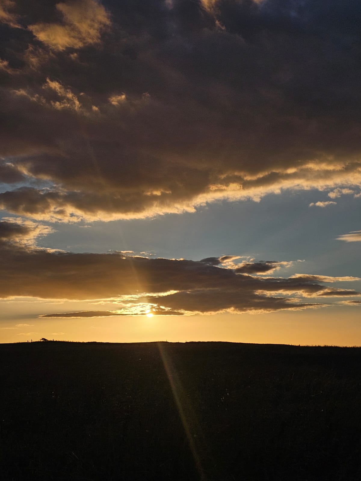 Full moon sunset, Bempton. September 2026. Barbara Payman. Full moon sunset, Bempton. September 2026. Barbara Payman.