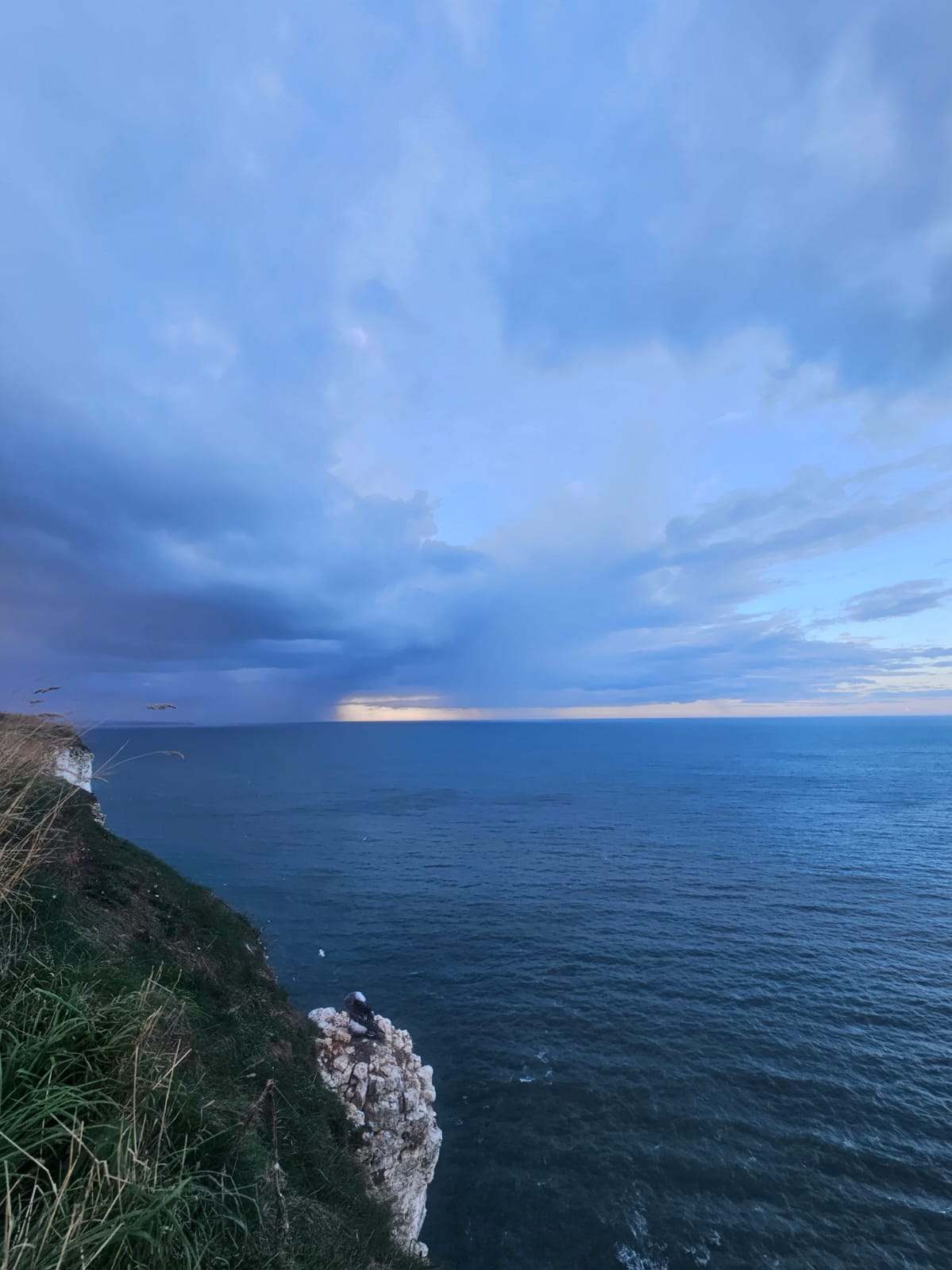 Stormy skies. Bempton, October 2026. Barbara Payman. Stormy skies. Bempton, October 2026. Barbara Payman.