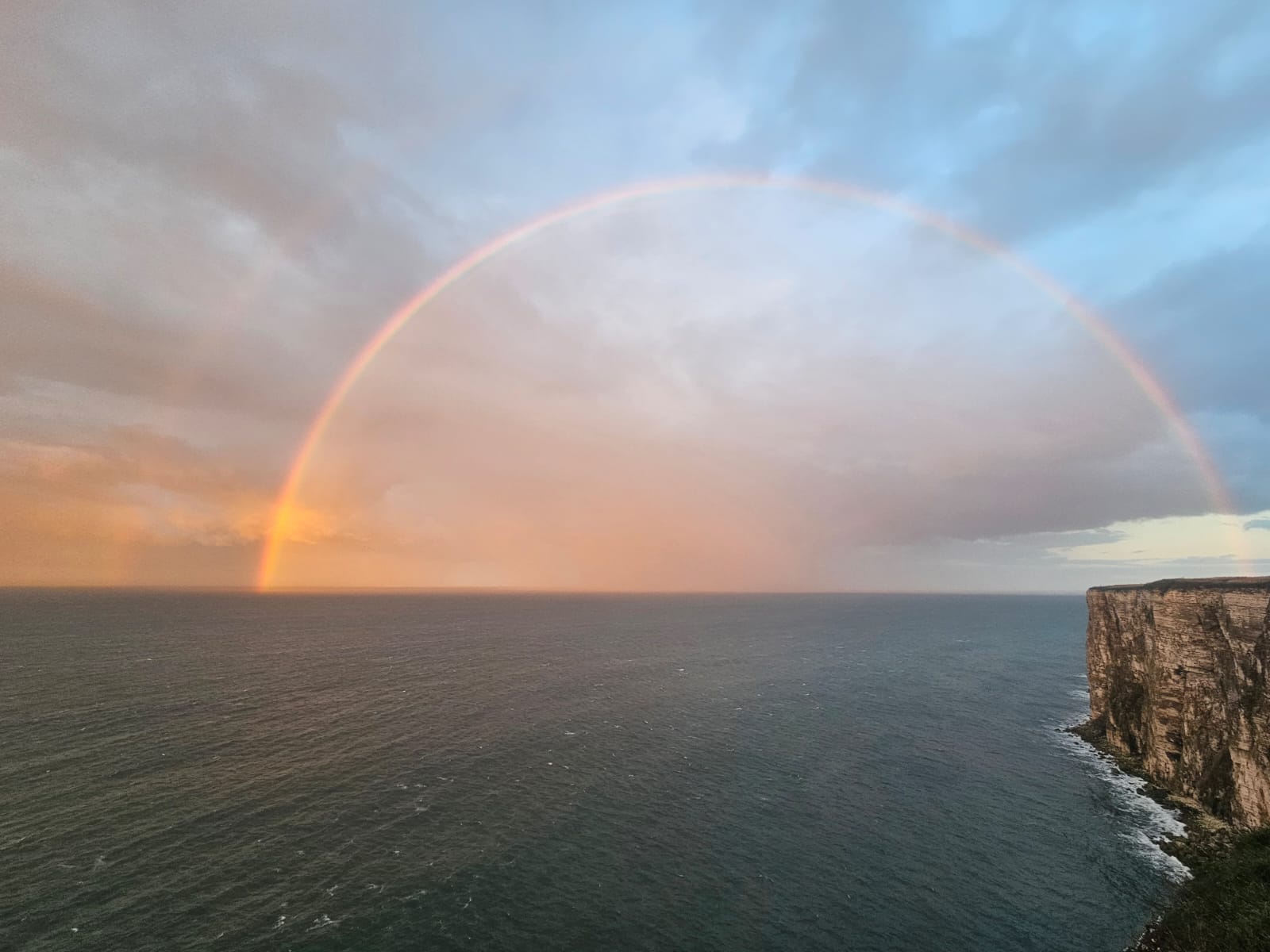 After the storm. Bempton, October 2026. Barbara Payman. After the storm. Bempton, October 2026. Barbara Payman.